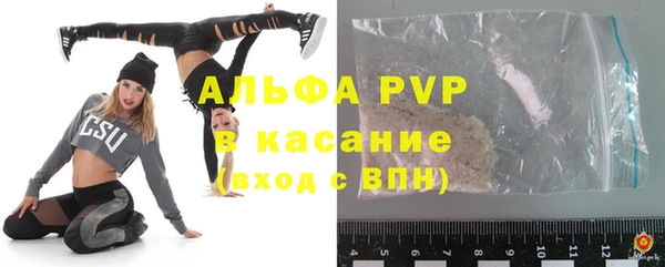 ПСИЛОЦИБИНОВЫЕ ГРИБЫ Гусь-Хрустальный