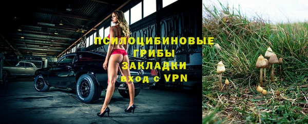 mix Гусиноозёрск