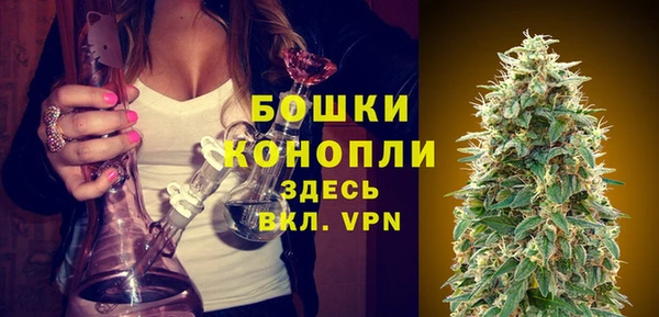 прущая мука Дубна