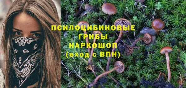 меф VHQ Дмитриев